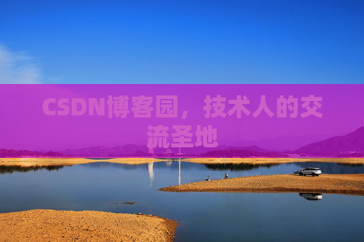 CSDN博客园，技术人的交流圣地